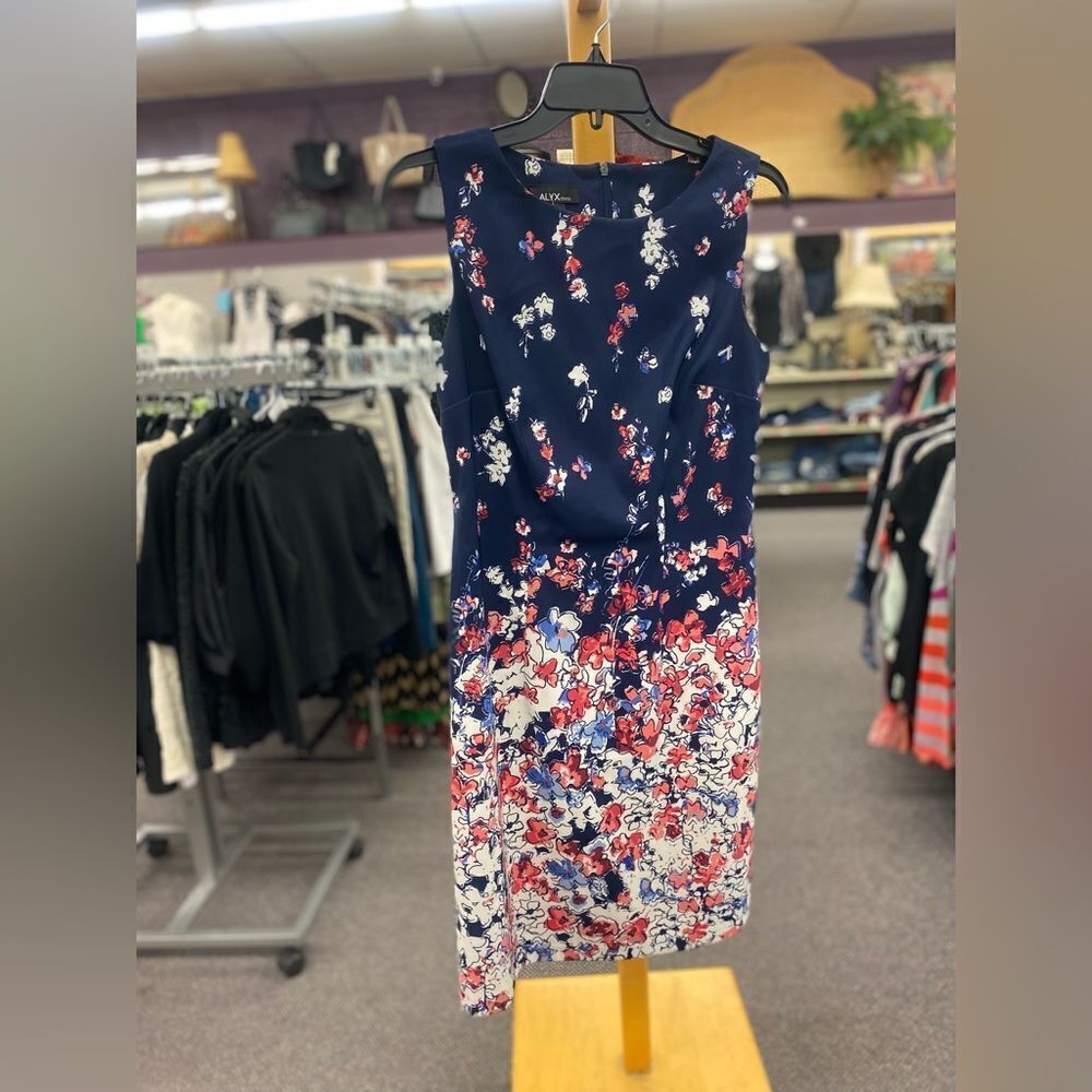 🛍️ ALYX Ladies 8 Blue & Pink Sun Dress